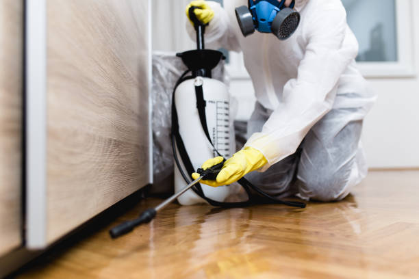 Best Residential Pest Control  in Richton Park, IL