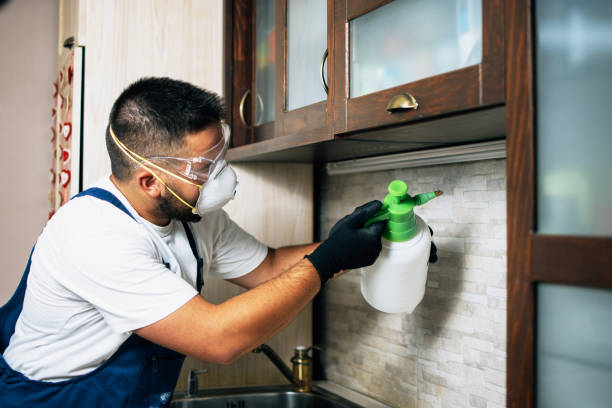 Best Best Pest Control Companies  in Richton Park, IL