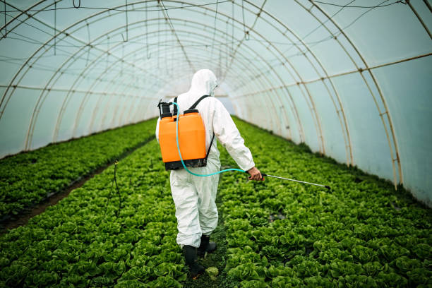 Reliable Richton Park, IL Pest Control Solutions