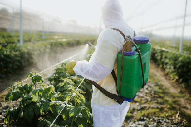 Best Bed Bug Extermination  in Richton Park, IL